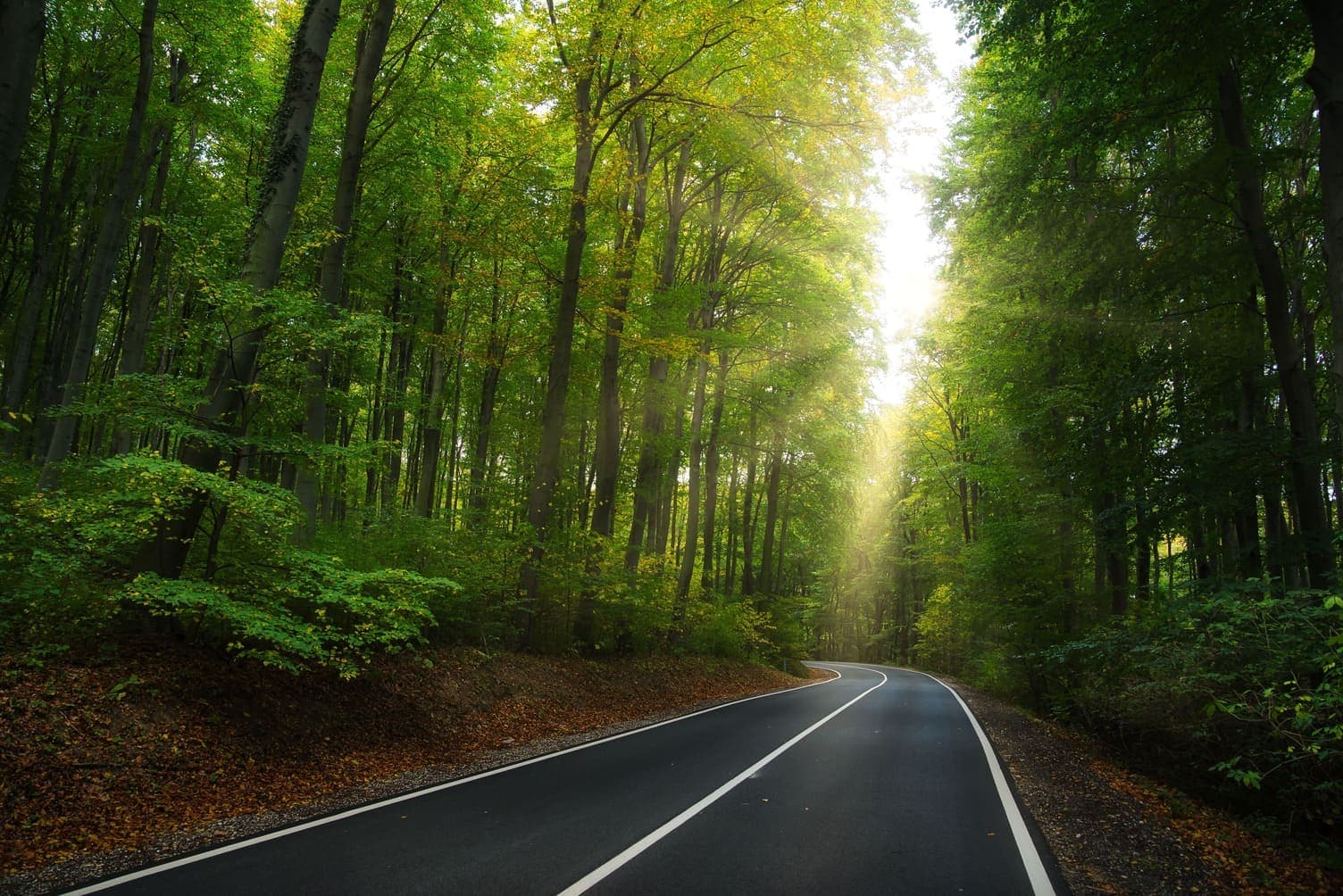 3 Ways To Build Internal Buy-In For A Sustainable Supply Chain