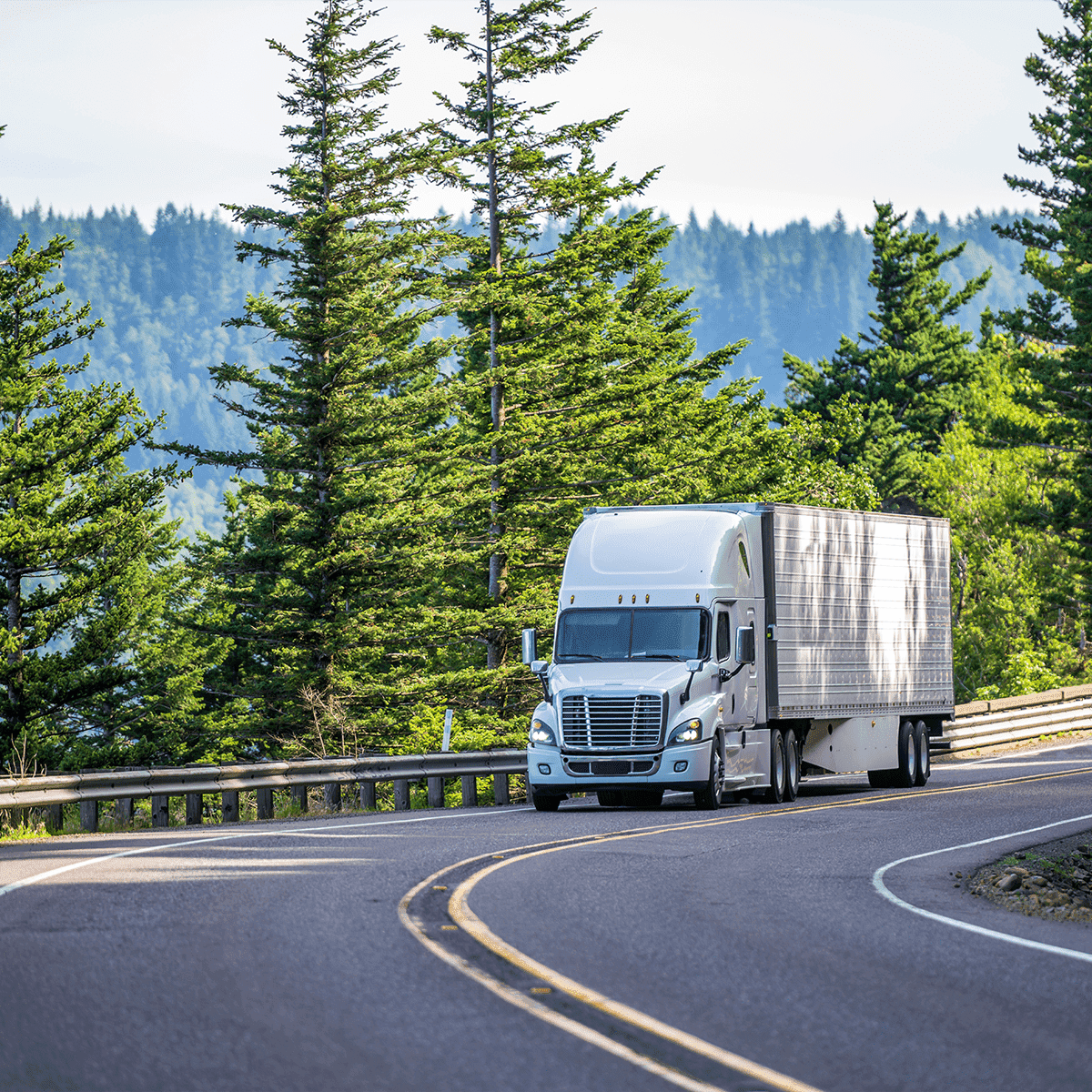 Truck on forest highway