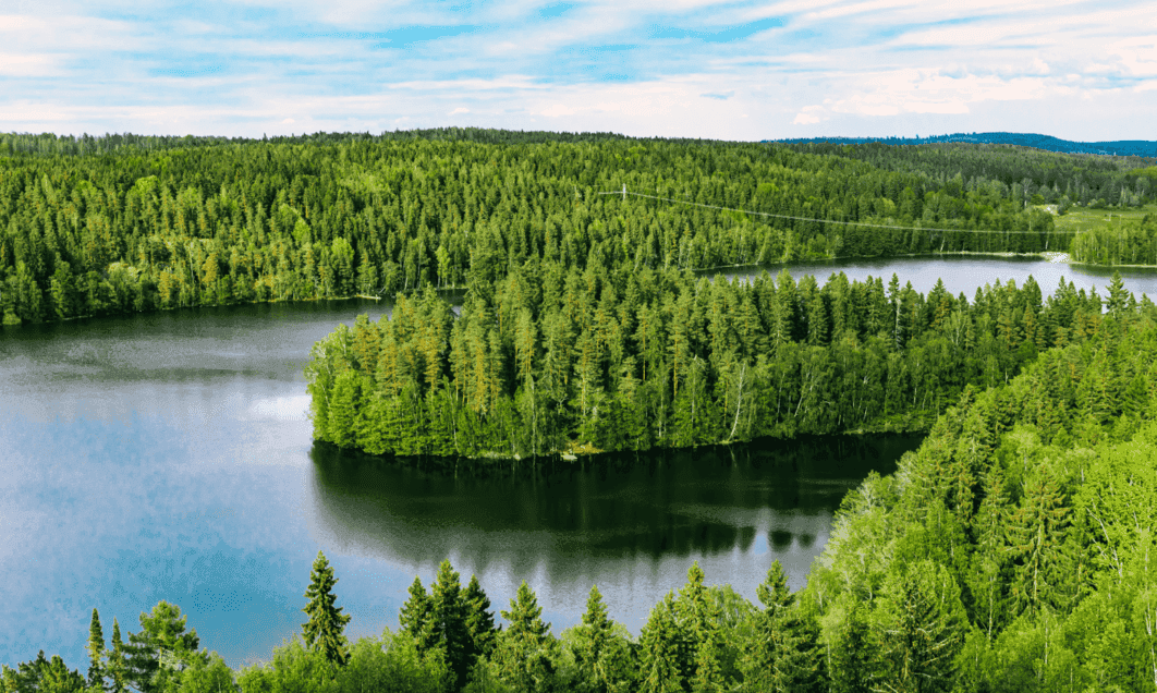 Corporate Sustainability