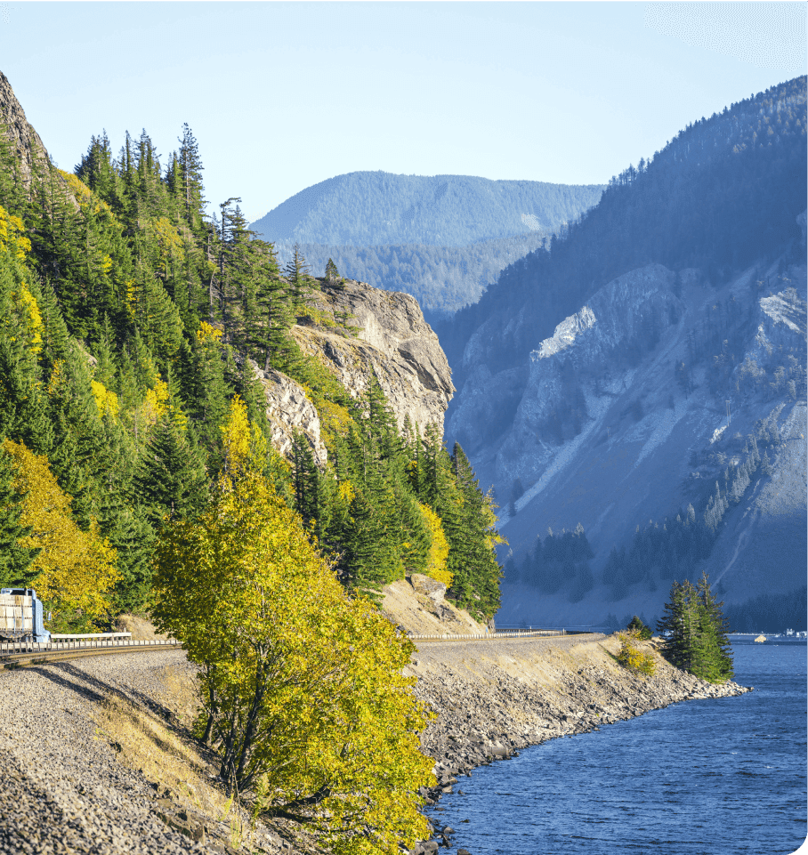 Corporate Sustainability